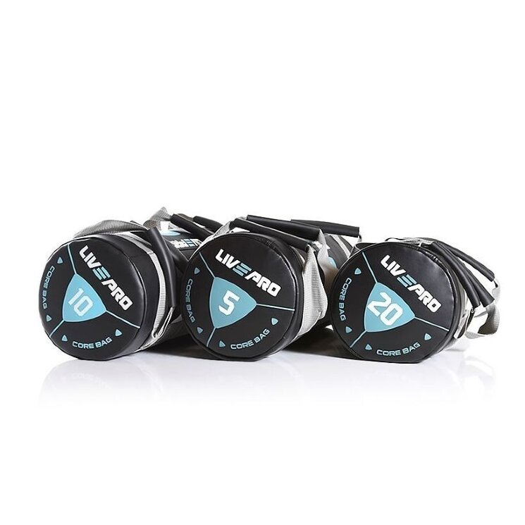 Сэндбэг LIVEPRO Power Bag 5 кг, 10 кг, 15 кг, 20 кг, 25 кг (LP8120)