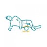 Ролик для пилатес Balanced Body Magic Roller (BB\10104\15-GY-00)