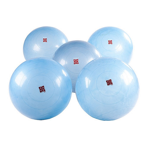 Гимнастические мячи BOSU Ballast® Ball (комплект: 5 шт) (72-18250-1A)
