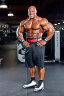 Тяжелоатлетический пояс Schiek Lifting Belt Model 2006 (размеры S-XL)(цвета разные)