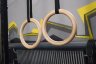 Кольца Гимнастические SPR Rings