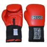 Любительские боксерские перчатки Ring to Cage USA APPROVED