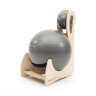 Кресло с мячом Balanced Body Begin Chair (736-000)