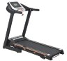 Беговая дорожка электрическая ROYAL Fitness (RF-5)