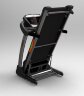 Беговая дорожка PROXIMA PERSONA (T-8501E)