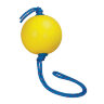 Мяч (медбол) с веревкой Perform Better Extreme Converta Ball вес: 6 кг