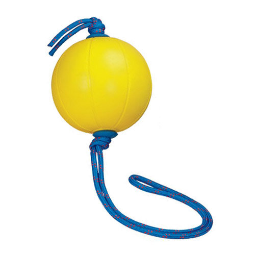 Мяч (медбол) с веревкой Perform Better Extreme Converta Ball вес: 1 кг