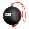 Мяч (медбол) с веревкой Perform Better Extreme Converta Ball вес: 7 кг
