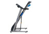 Беговая дорожка электрическая Royal Fitness RF-1 (RF-1)