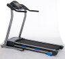 Беговая дорожка электрическая Royal Fitness RF-3 (RF-3)