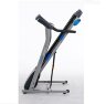 Беговая дорожка электрическая Royal Fitness RF-3 (RF-3)