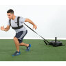 Силовые сани для тяги Sled Dawg II