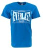 Футболка Everlast Choice of Champions, серая, красная, синяя, черная (RE0033)