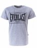 Футболка Everlast Choice of Champions, серая, красная, синяя, черная (RE0033)