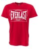 Футболка Everlast Choice of Champions, серая, красная, синяя, черная (RE0033)