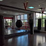 Боксерская груша-шар FightTech,  50х50, вес: 45 кг (SBL3)