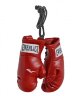 Брелок Mini Boxing Glove In Pairs (800000)