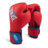 Детские боксерские перчатки Everlast Procpect (P00001644)