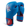 Детские боксерские перчатки Everlast Procpect (P00001644)