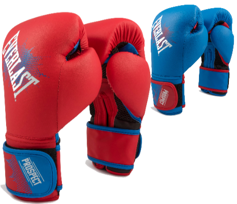 Детские боксерские перчатки Everlast Procpect (P00001644)